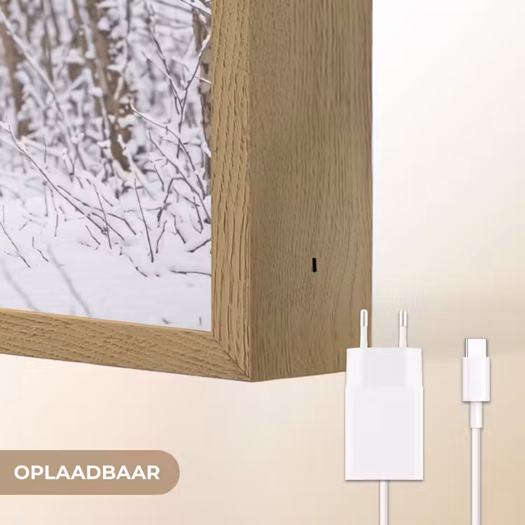 Hert - Winter - Bos - Natuur - Wit Light Box met batterij (Wandlamp) middel -USP_websiteoplaadbaarNL