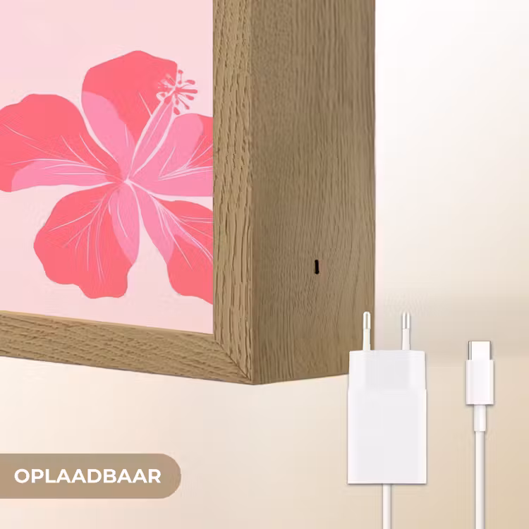 Hibiscus - Bloemen - Roze Light Box met batterij (Wandlamp) middel 907 -USP_websiteoplaadbaarNL