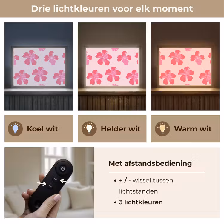 Hibiscus - Bloemen - Roze Light Box met batterij (Wandlamp) middel 907 -USP_lichtkleurNL