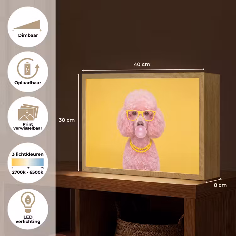Hond - Kauwgum - Dieren - Modern - Roze Light Box met batterij (Wandlamp) middel -USP_websiteoverzichtNL
