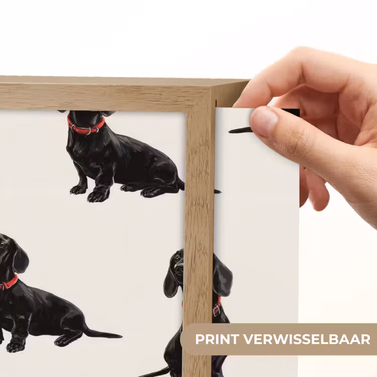 Hond - Patroon - Zwart Light Box met batterij (Wandlamp) middel 907 -USP_websiteprintNL