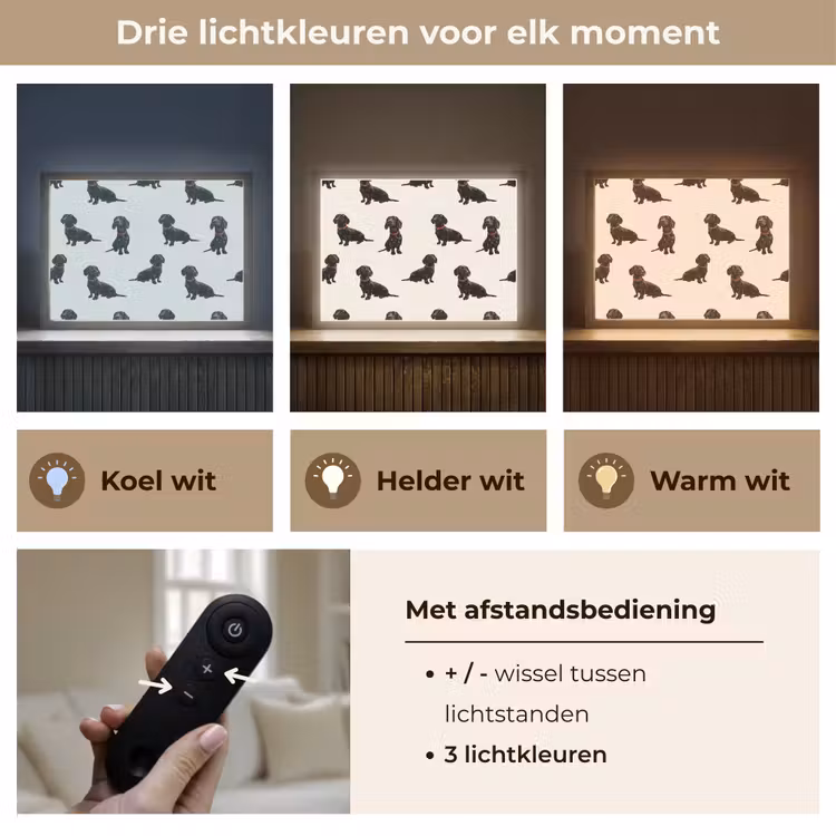 Hond - Patroon - Zwart Light Box met batterij (Wandlamp) middel 907 -USP_lichtkleurNL