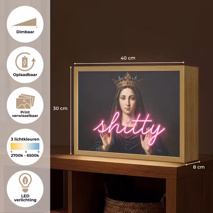 Ironisch - Tekst - Neon Light Box met batterij (Wandlamp) middel -USP_websiteoverzichtNL
