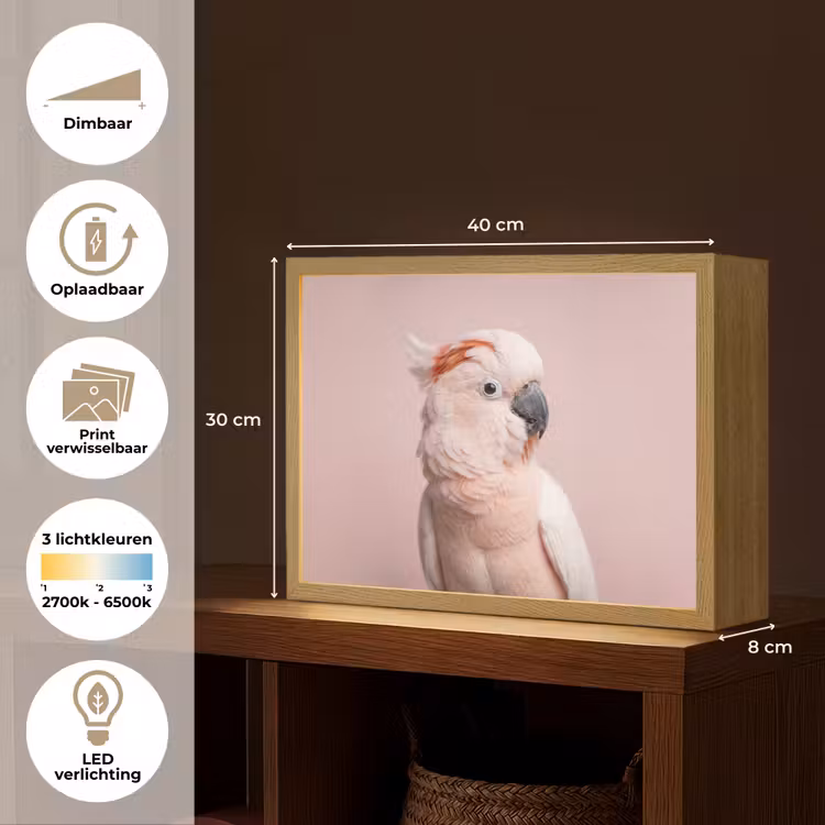 Kaketoe - Portret - Roze Light Box met batterij (Wandlamp) middel -USP_websiteoverzichtNL