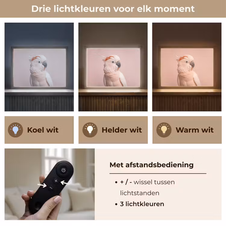 Kaketoe - Portret - Roze Light Box met batterij (Wandlamp) middel -USP_lichtkleurNL