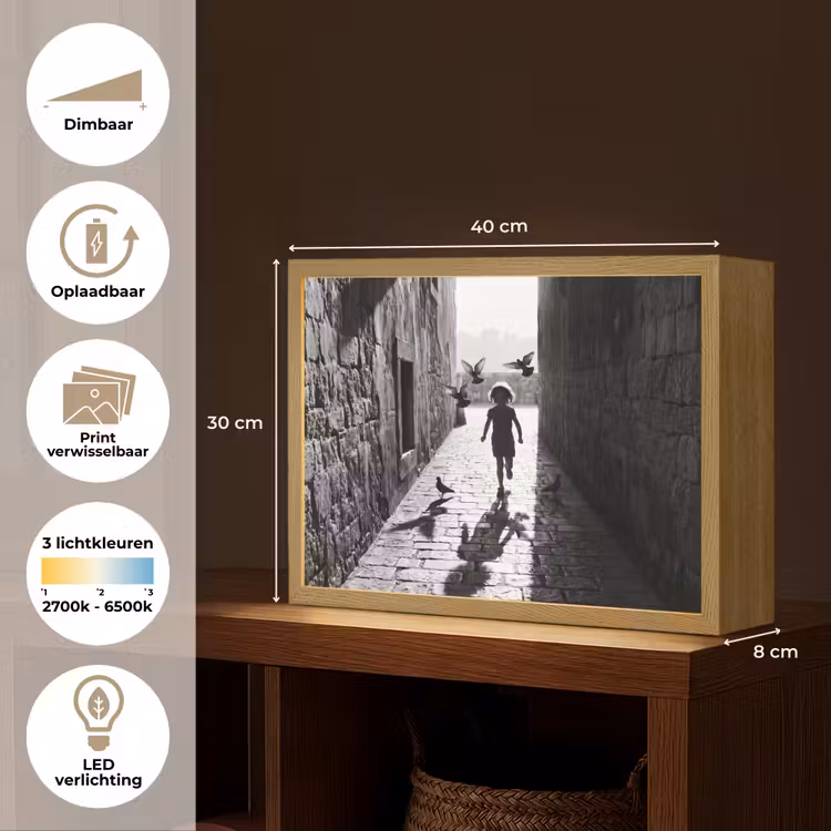 Kind - Vogel - Straat - Zwart-wit - Spelen Light Box met batterij (Wandlamp) middel -USP_websiteoverzichtNL