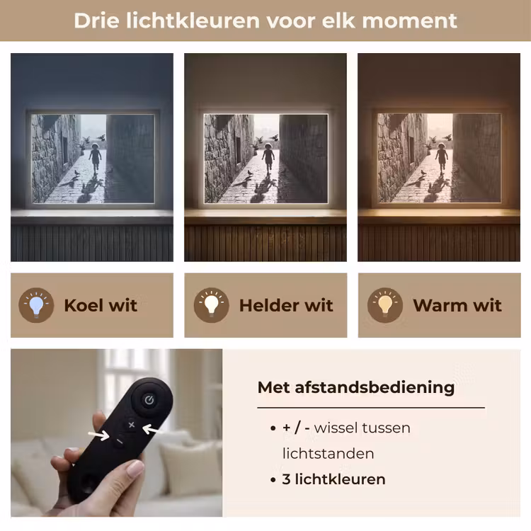 Kind - Vogel - Straat - Zwart-wit - Spelen Light Box met batterij (Wandlamp) middel -USP_lichtkleurNL
