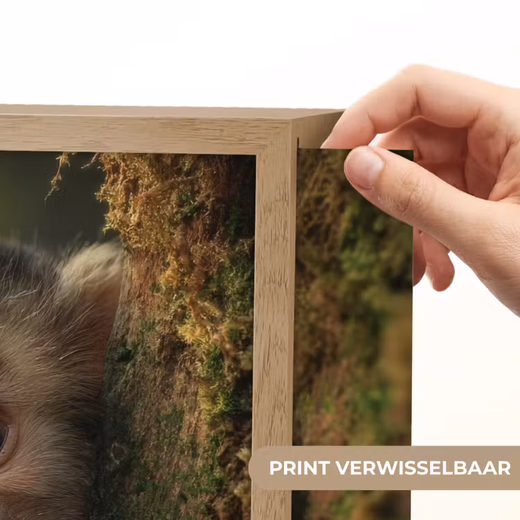 Aap - Boomstronk - Bruin Light Box met batterij (Wandlamp kind) middel -USP_websiteprintNL