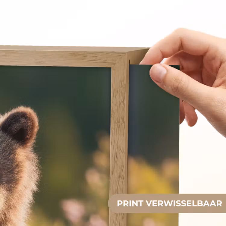 Beer - Bloemenveld - Gras Light Box met batterij (Wandlamp kind) middel -USP_websiteprintNL