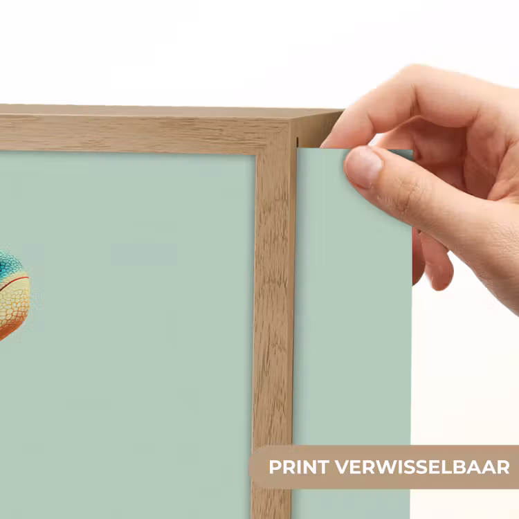 Cartoon - Dino - Oranje - Stekels Light Box met batterij (Wandlamp kind) middel -USP_websiteprintNL