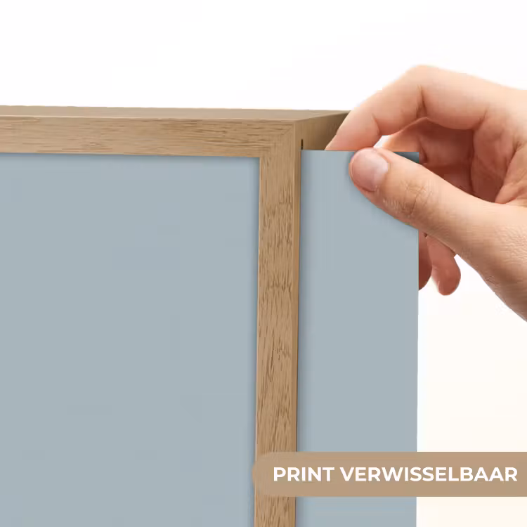 Dino - Brachiosaurus - Dinosaurus - Blauw Light Box met batterij (Wandlamp kind) middel -USP_websiteprintNL
