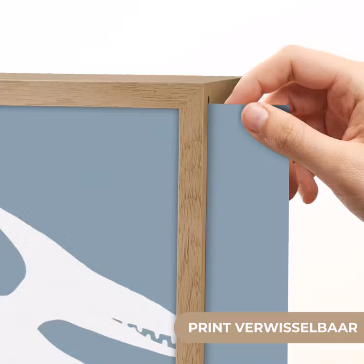 Dino - Pteranodon - Dinosaurus - Blauw Light Box met batterij (Wandlamp kind) middel -USP_websiteprintNL