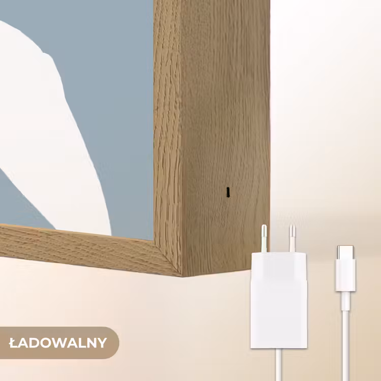 Dino - Pteranodon - Dinosaurus - Blauw Light Box met batterij (Wandlamp kind) middel -USP_websiteoplaadbaarNL