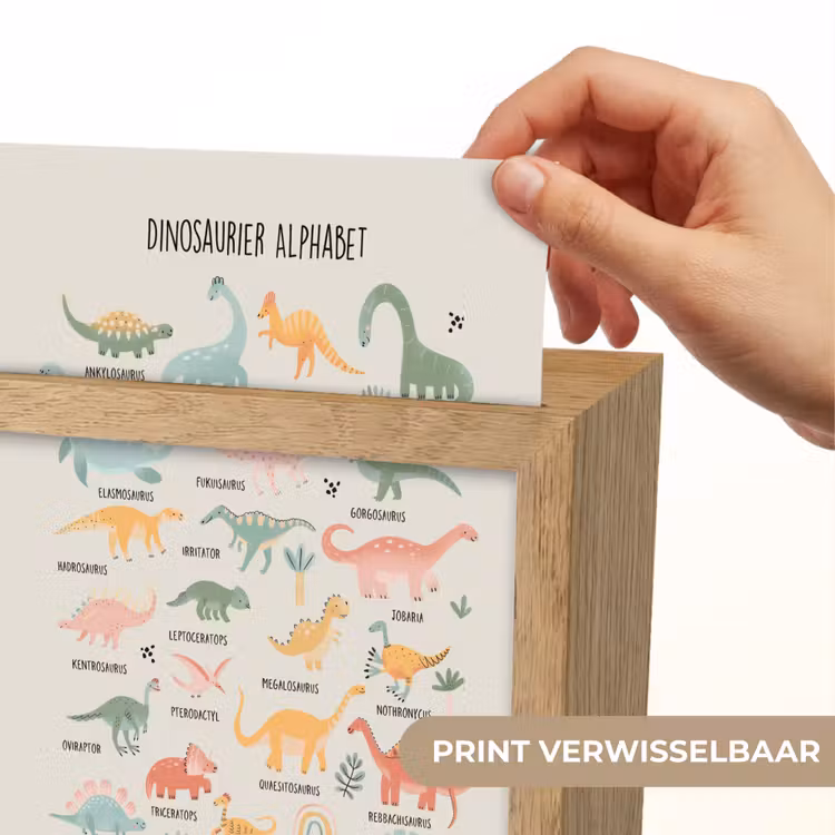 Educatief - Alfabet leren - Jongens - Letters - Dino's Light Box met kabel (Wandlamp kind) klein -USP_websiteprintNL