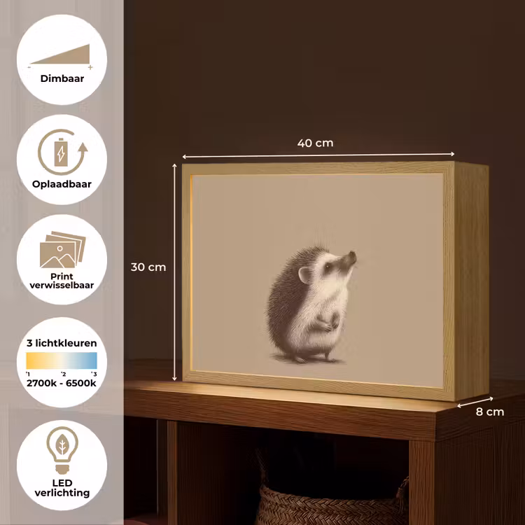 Egel - Snuitje - Bruin - Stekels Light Box met batterij (Wandlamp kind) middel -USP_websiteoverzichtNL