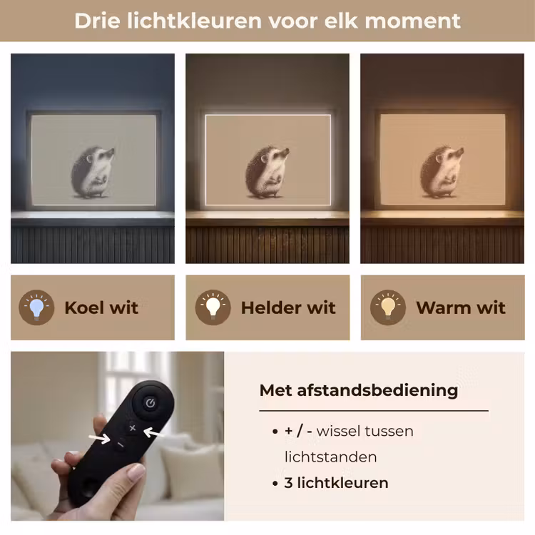 Egel - Snuitje - Bruin - Stekels Light Box met batterij (Wandlamp kind) middel -USP_lichtkleurNL