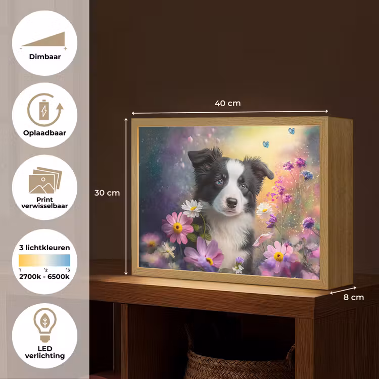 Hond - Bloemen - Natuur - Puppy - Bordercollie Light Box met batterij (Wandlamp kind) middel -USP_websiteoverzichtNL