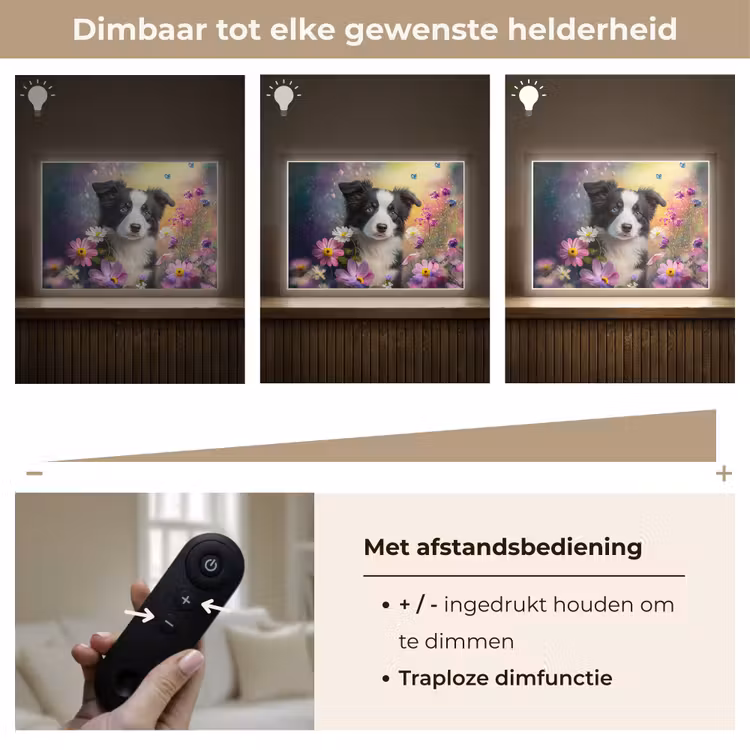 Hond - Bloemen - Natuur - Puppy - Bordercollie Light Box met batterij (Wandlamp kind) middel -USP_dimbaarNL
