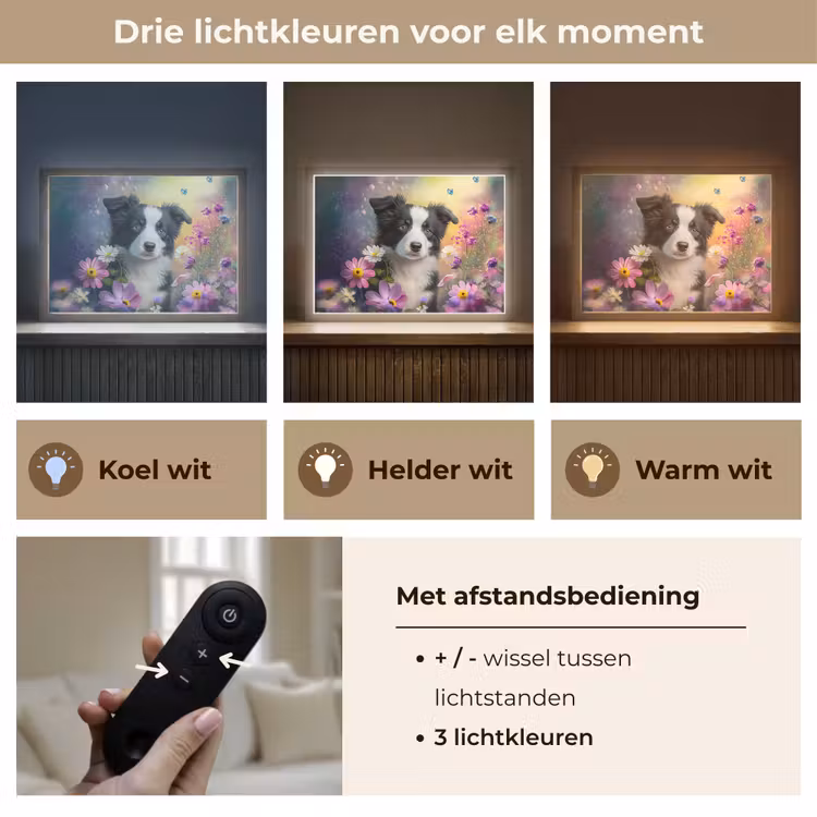 Hond - Bloemen - Natuur - Puppy - Bordercollie Light Box met batterij (Wandlamp kind) middel -USP_lichtkleurNL