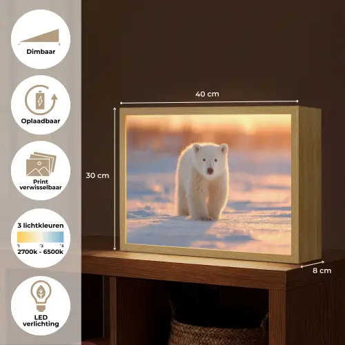 Ijsbeer - Sneeuw - Zonsopgang Light Box met batterij (Wandlamp kind) middel -USP_websiteoverzichtNL