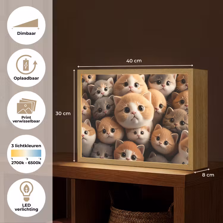 Katten - Huisdieren - Kitten - Design - Jongens - Meisjes Light Box met batterij (Wandlamp kind) middel -USP_websiteoverzichtNL