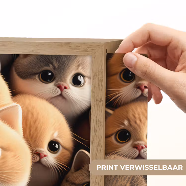 Katten - Huisdieren - Kitten - Design - Jongens - Meisjes Light Box met batterij (Wandlamp kind) middel -USP_websiteprintNL