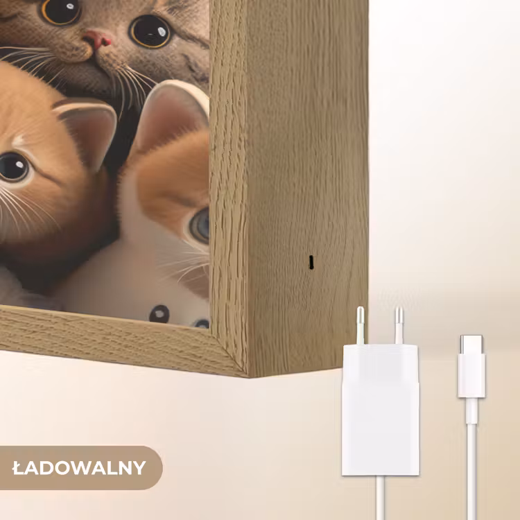 Katten - Huisdieren - Kitten - Design - Jongens - Meisjes Light Box met batterij (Wandlamp kind) middel -USP_websiteoplaadbaarNL
