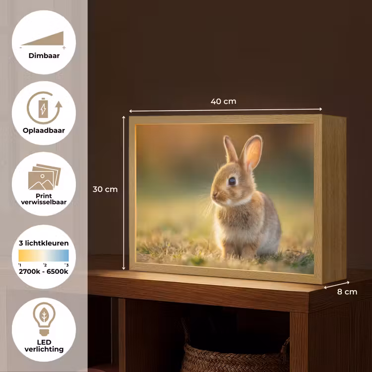 Konijntje - Bruin - Gras Light Box met batterij (Wandlamp kind) middel -USP_websiteoverzichtNL
