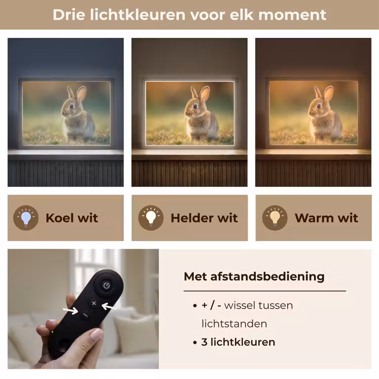 Konijntje - Bruin - Gras Light Box met batterij (Wandlamp kind) middel -USP_lichtkleurNL