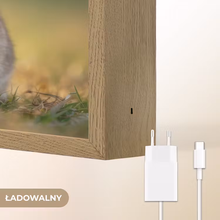Konijntje - Bruin - Gras Light Box met batterij (Wandlamp kind) middel -USP_websiteoplaadbaarNL