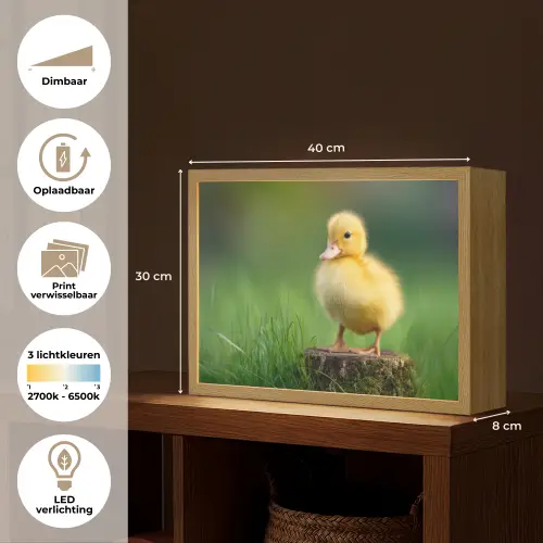 Kuiken - Eend - Geel - Gras Light Box met batterij (Wandlamp kind) middel -USP_websiteoverzichtNL