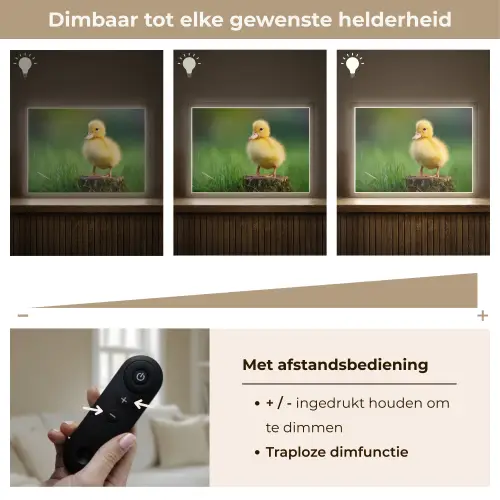 Kuiken - Eend - Geel - Gras Light Box met batterij (Wandlamp kind) middel -USP_dimbaarNL