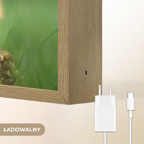 Kuiken - Eend - Geel - Gras Light Box met batterij (Wandlamp kind) middel -USP_websiteoplaadbaarNL