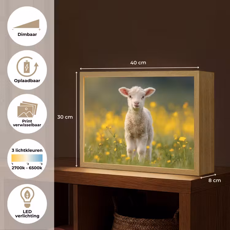 Lammetje - Gras - Bloemen - Geel Light Box met batterij (Wandlamp kind) middel -USP_websiteoverzichtNL