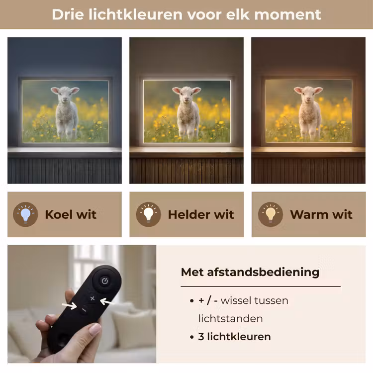 Lammetje - Gras - Bloemen - Geel Light Box met batterij (Wandlamp kind) middel -USP_lichtkleurNL