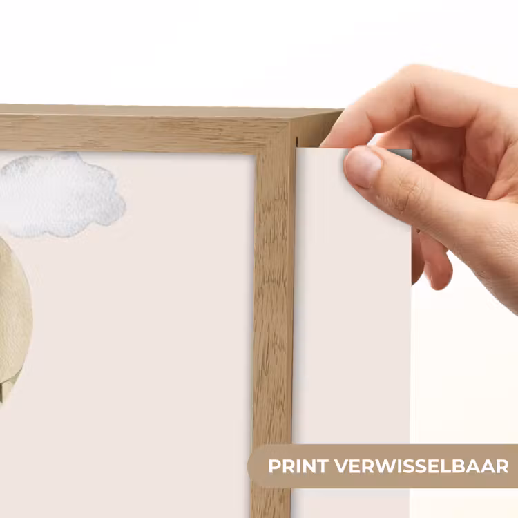 Luchtballon - Leeuw - Watercolor - Safari - Dieren Light Box met batterij (Wandlamp kind) middel -USP_websiteprintNL