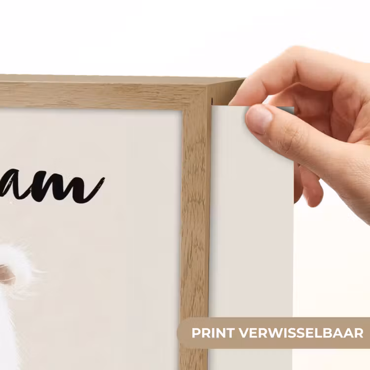 Beertje - Sneeuwvlokje - Wit - Pluizig Light Box met batterij (Wandlamp kind) middel -USP_websiteprintNL