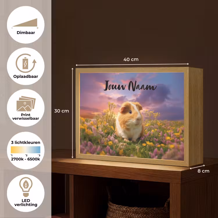 Cavia - Kleurrijk - Bloemen Light Box met batterij (Wandlamp kind) middel -USP_websiteoverzichtNL