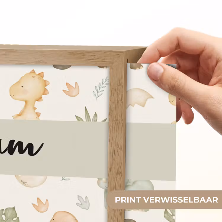 Dino - illustratie - Kleurrijk Light Box met batterij (Wandlamp kind) middel -USP_websiteprintNL