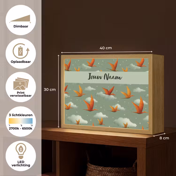 Dino - Oranje - Patroon - Wolken Light Box met batterij (Wandlamp kind) middel -USP_websiteoverzichtNL