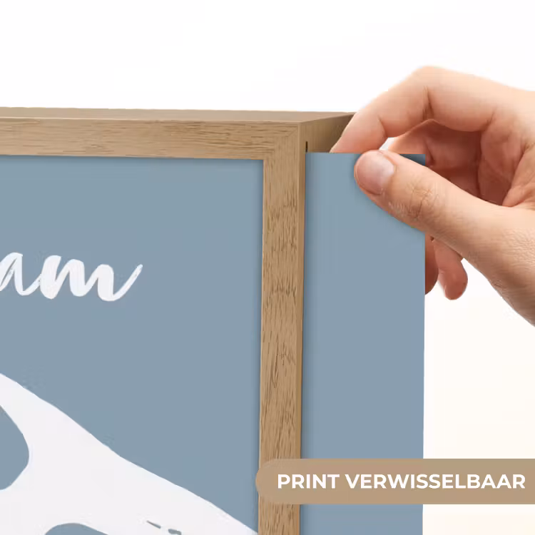 Dino - Pteranodon - Dinosaurus - Blauw Light Box met batterij (Wandlamp kind) middel -USP_websiteprintNL