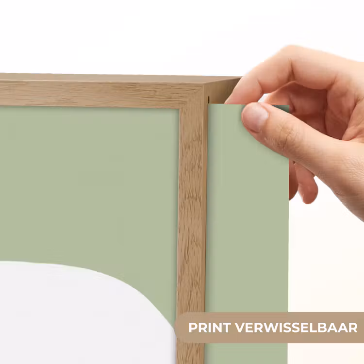 Dino - Triceratops - Dinosaurus - Groen Light Box met batterij (Wandlamp kind) middel -USP_websiteprintNL