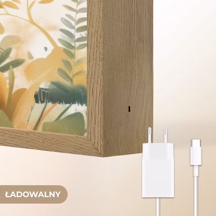 Dino - Voetbal - Oranje Light Box met batterij (Wandlamp kind) middel -USP_websiteoplaadbaarNL