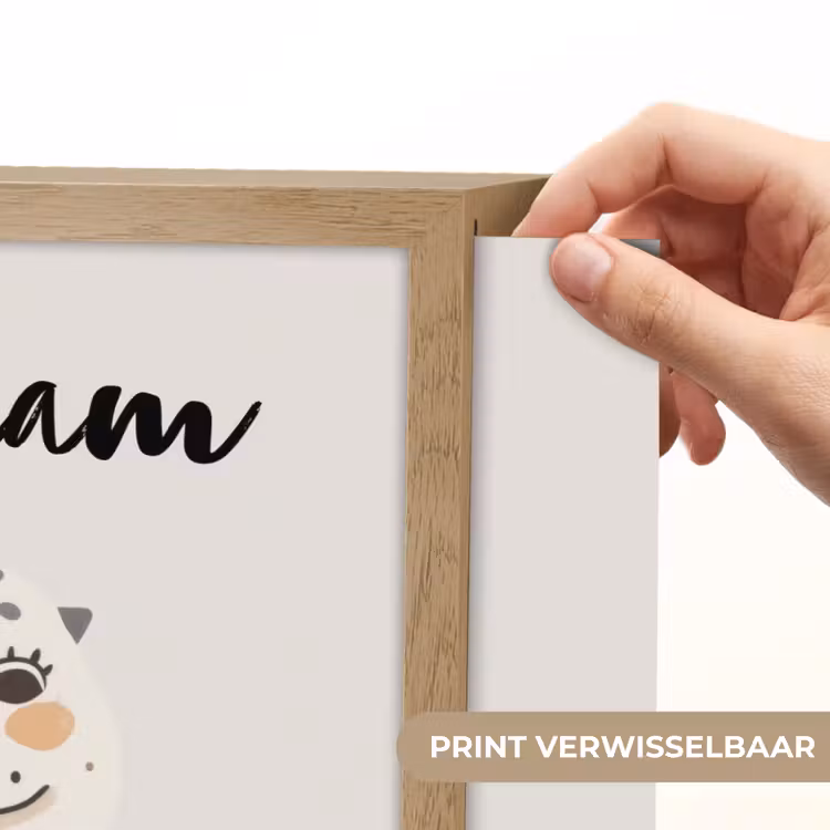 Dinosaurus - Pastel kleuren Light Box met batterij (Wandlamp kind) middel -USP_websiteprintNL