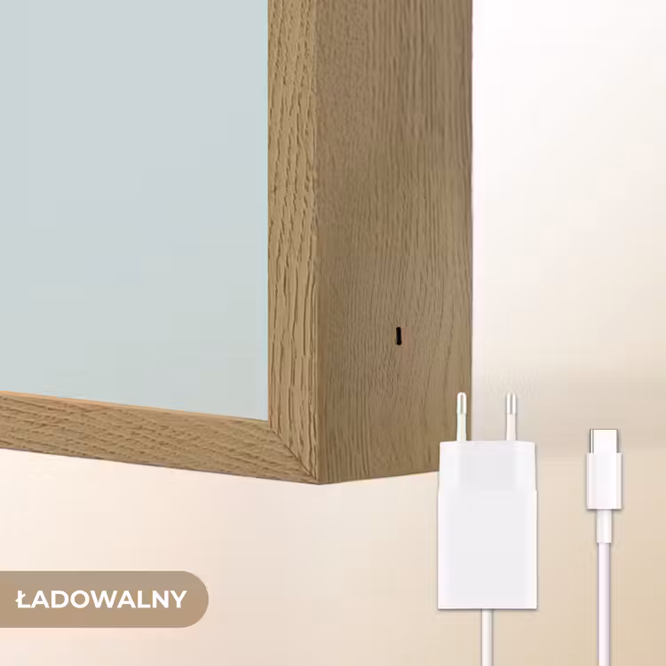 Dolfijn - Zeewier - Grijs Light Box met batterij (Wandlamp kind) middel -USP_websiteoplaadbaarNL