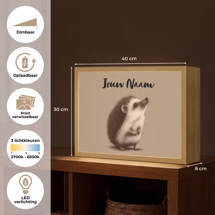 Egel - Snuitje - Bruin - Stekels Light Box met batterij (Wandlamp kind) middel -USP_websiteoverzichtNL
