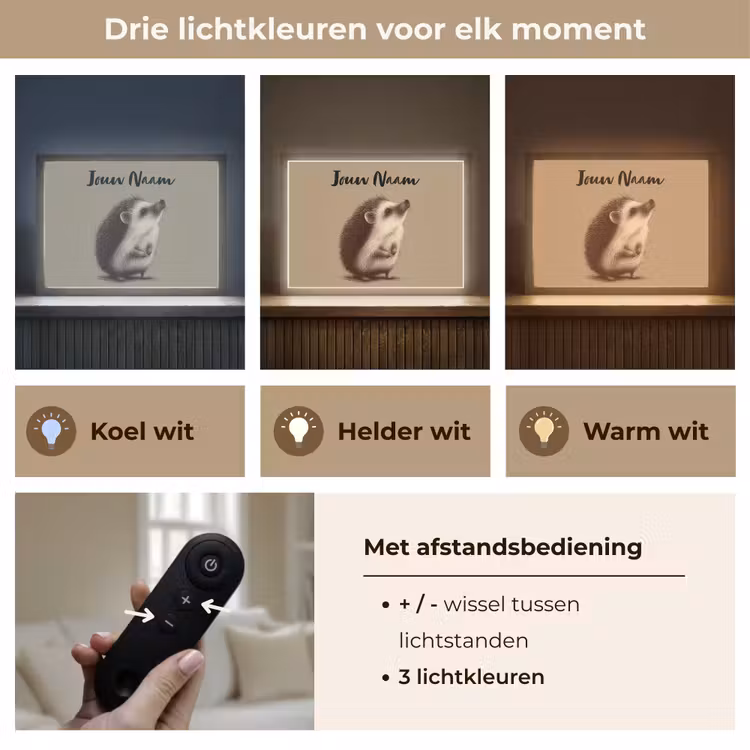 Egel - Snuitje - Bruin - Stekels Light Box met batterij (Wandlamp kind) middel -USP_lichtkleurNL