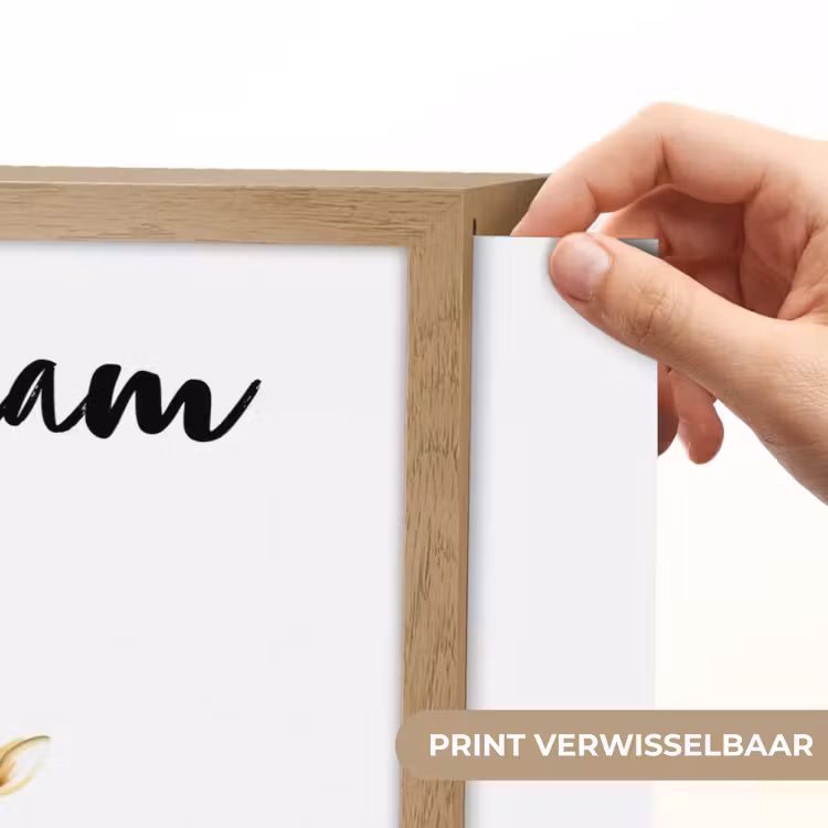 Giraf - Baby - Dieren - Roze ballon Light Box met batterij (Wandlamp kind) middel -USP_websiteprintNL