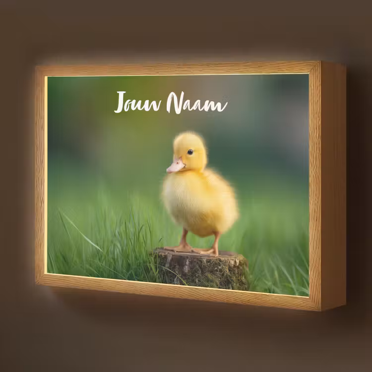 Kuiken - Eend - Geel - Gras Light Box met batterij (Wandlamp kind) middel -z3d_website