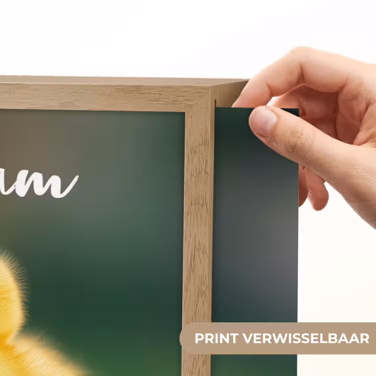 Kuiken - Eend - Geel - Gras Light Box met batterij (Wandlamp kind) middel -USP_websiteprintNL